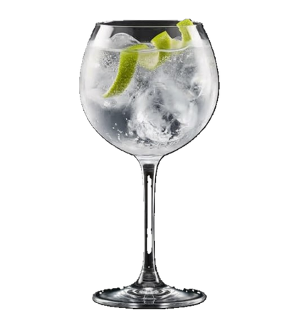 Gin Tonic